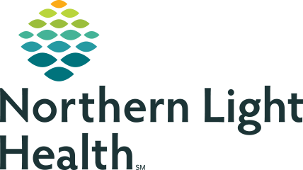 Northern Light Health Logo