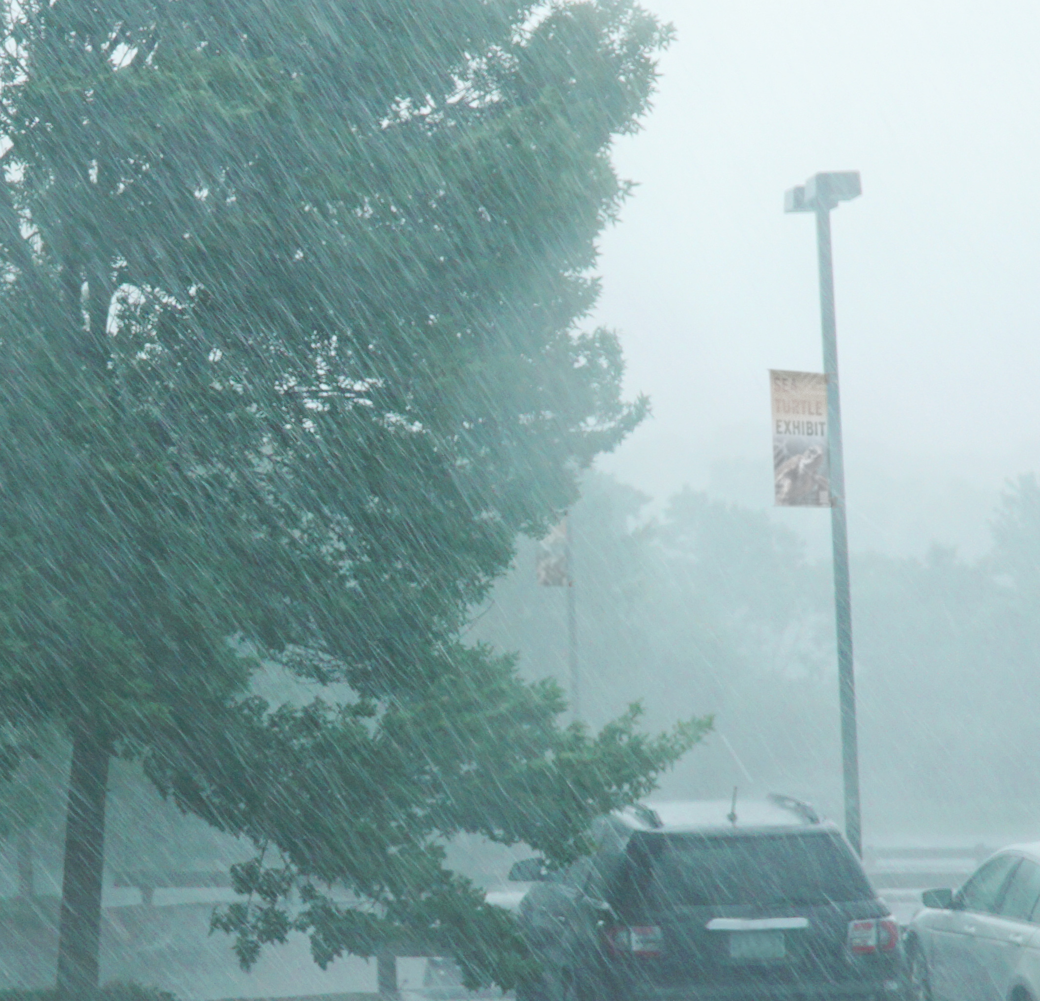 High winds and rain sweeping through a parking lot with pole banners in the distance.