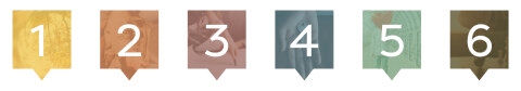 Blog_Main-Banner.jpg