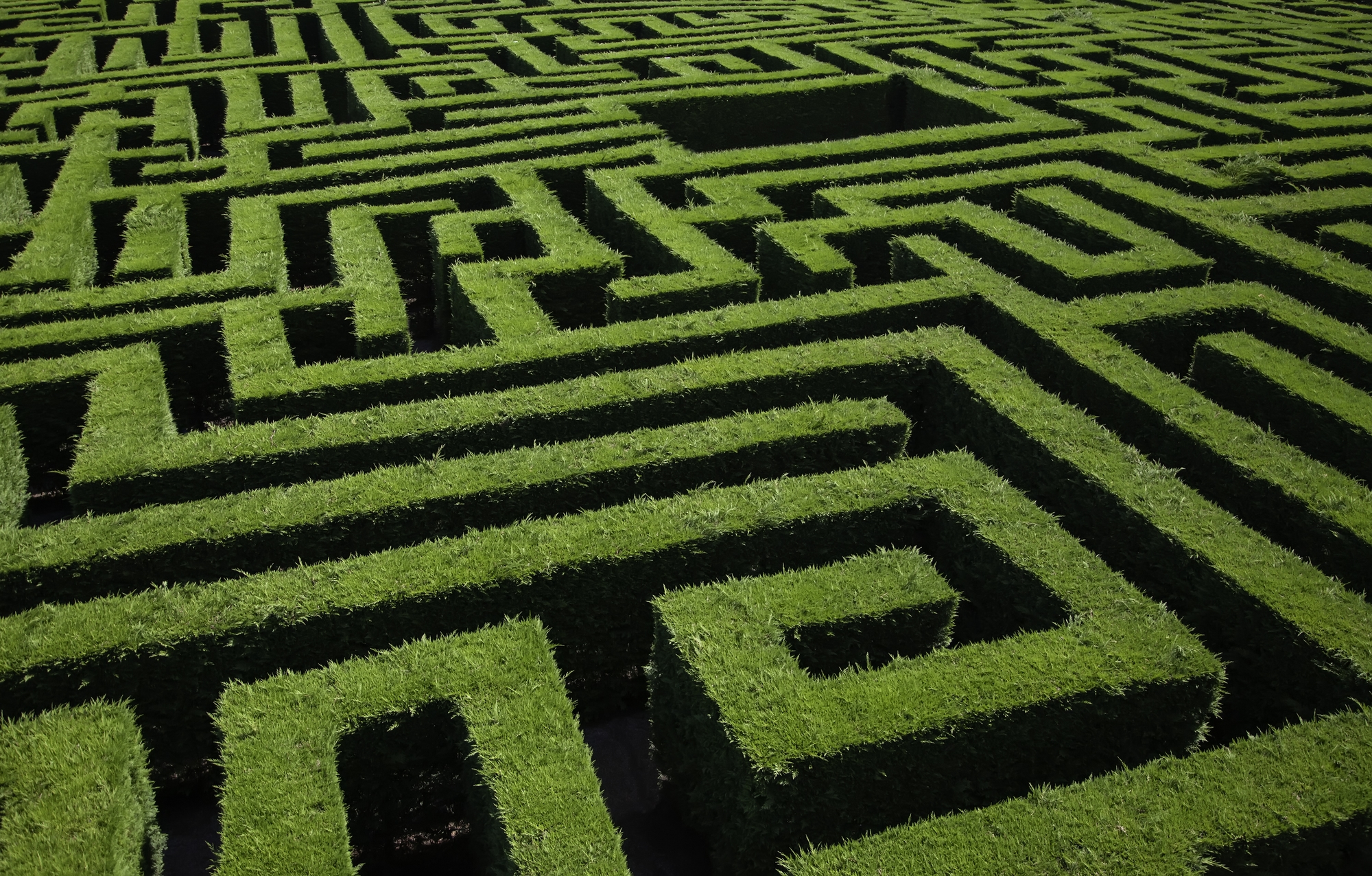 Hedge Maze