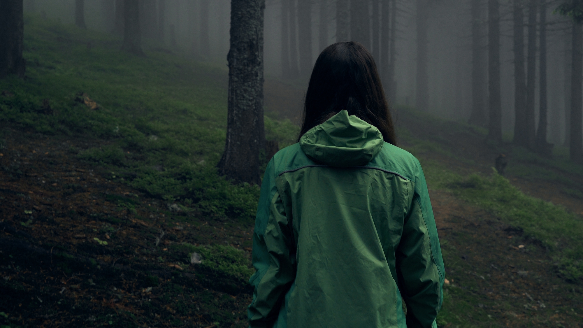 lost in the woods